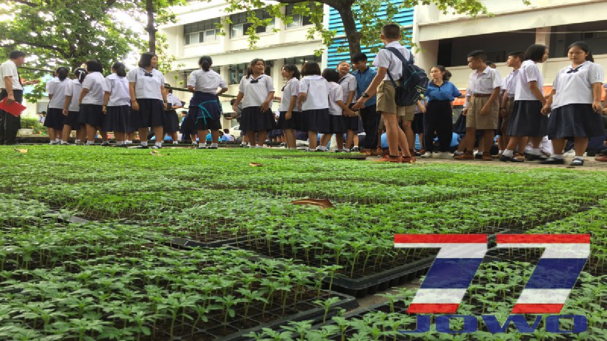  โรงเรียนผดุงนารี มหาสารคาม ร่วมปลูกดอกดาวเรือง 8,600 ต้น ให้บานสะพรั่งทั่วประเทศพร้อมกัน ในช่วงพระราชพิธีถวายพระเพลิงพระบรมศพฯ (มีคลิป)