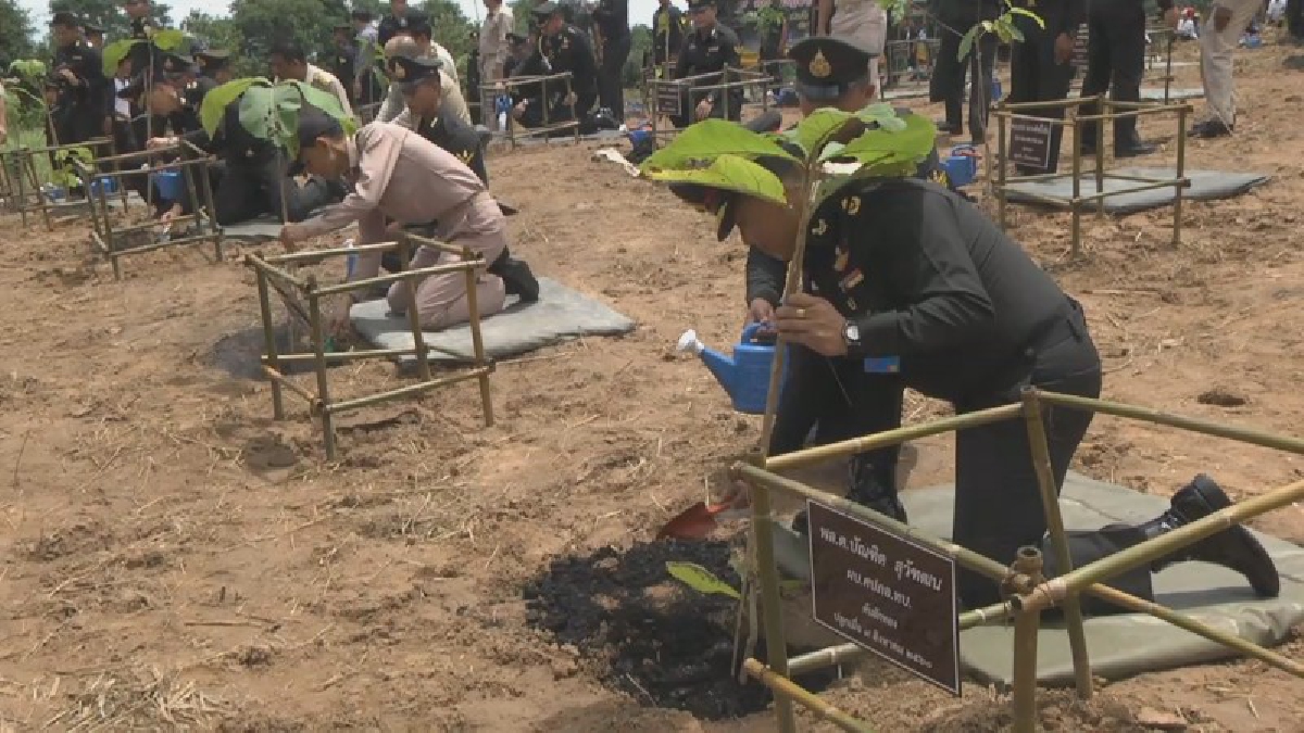 กองทัพบก!! ปลูกป่าสร้างฝายพื้นที่ป่าต้นน้ำ สืบสานพระราชปณิธานสมเด็จพระนางเจ้าสิริกิติ์ฯ เนื่องในโอกาสเฉลิมพระชนมพรรษา 85 พรรษา (คลิป)