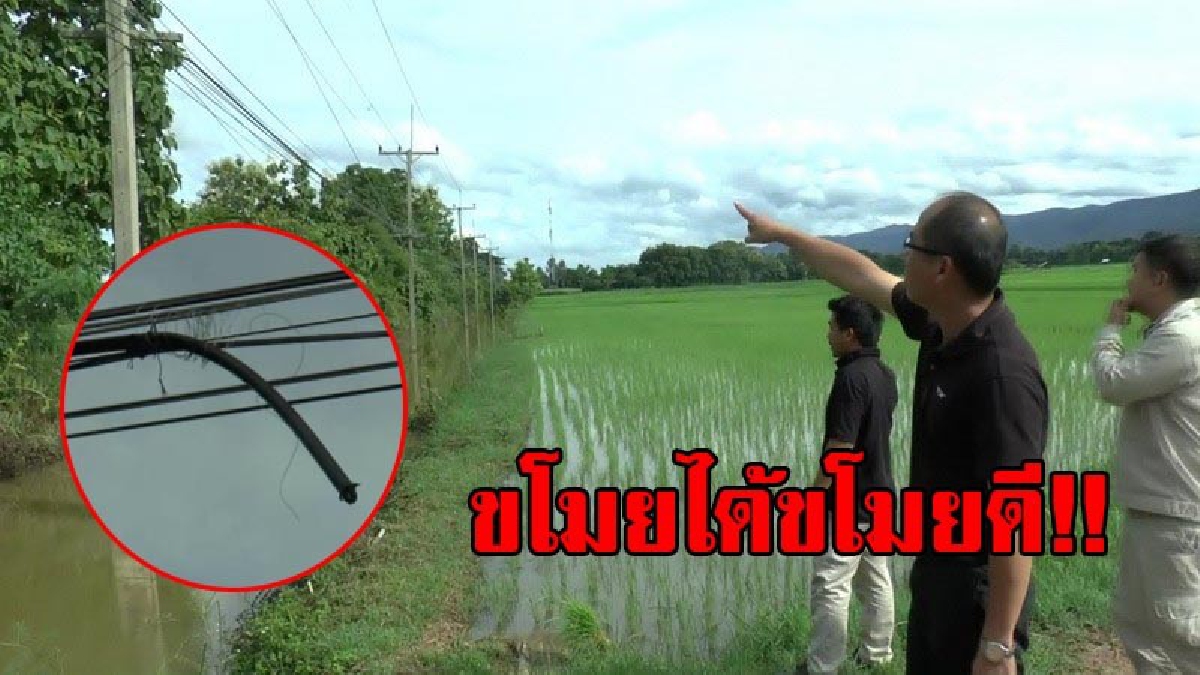 ไม่รู้จักทำมาหากิน!! โจรแสบอาละวาด ลอบตัดสายเคเบิลโทรศัพท์ ปีเดียวก่อเหตุ 10 ครั้ง เสียหายเฉียดล้านบาท (มีคลิป)