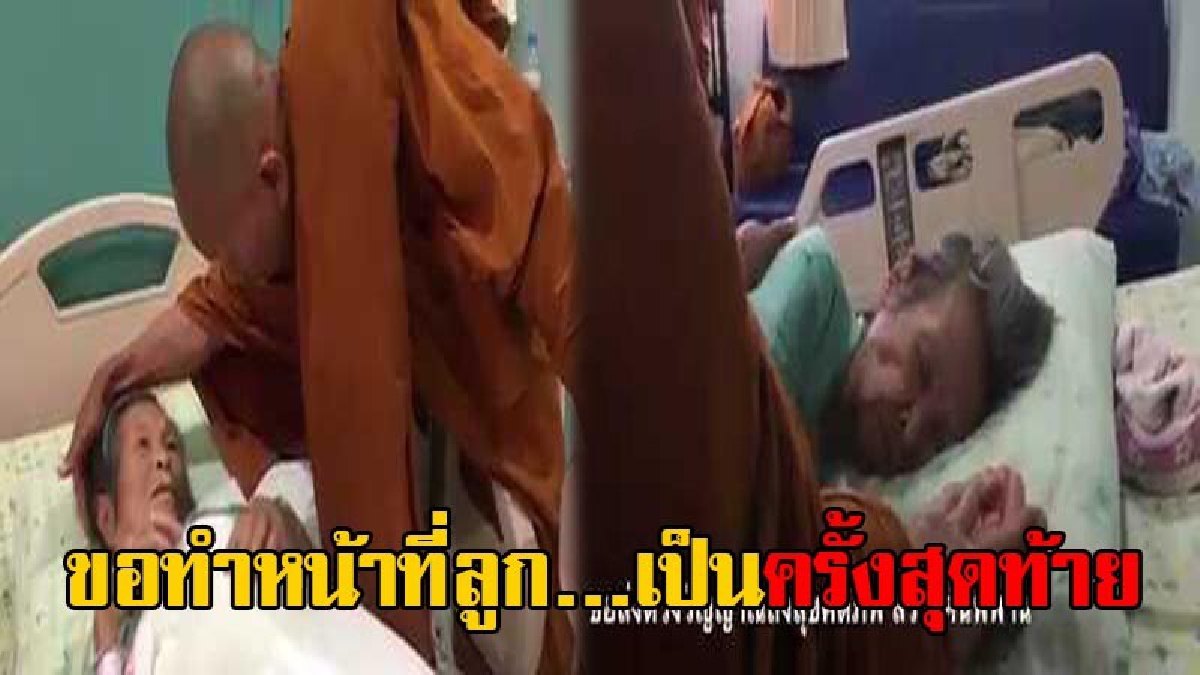ขอทำหน้าที่ลูกเป็นครั้งสุดท้าย!! เผยคลิปสุดซึ้ง "หลวงพ่อดี" ไม่สนอาบัติ ยืนกุมมือแม่ที่ป่วยหนัก จนวาระสุดท้ายก่อนสิ้นลม