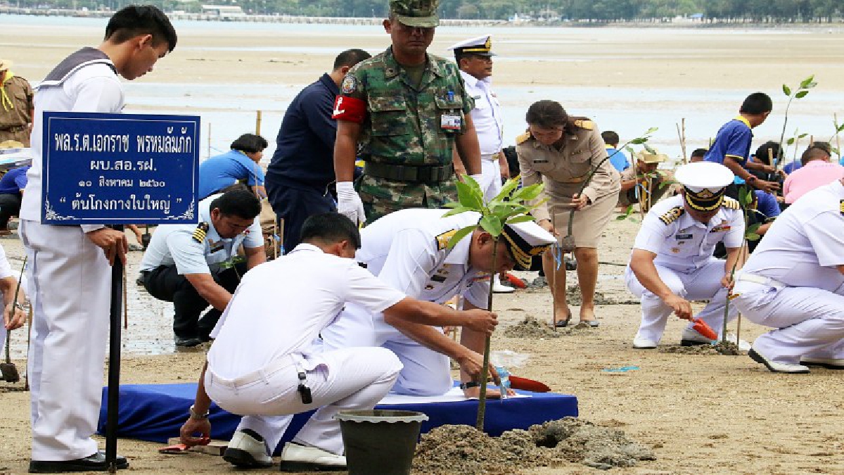 ร่วมมืออนุรักษ์ธรรมชาติ!! กองทัพเรือ ร่วมมือปลูกป่าชายเลน เฉลิมพระเกียรติ 85 พรรษา สมเด็จพระนางเจ้าสิริกิติ์ (ชมคลิป)
