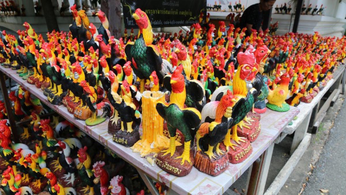 พลังแห่งศรัทธา!! ไก่แก้บน "สมเด็จพระนเรศวร" มีมากกว่าพันตัว จนแทบจะล้นวัด เนื่องจากมีคนหลั่งไหลมากราบไหว้ บูชาเป็นจำนวนมาก!? (ชมคลิป)