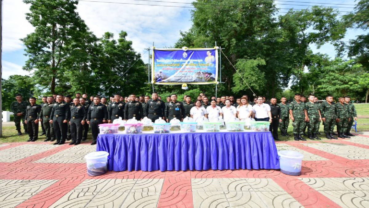ร่วมสร้างความดี!! ผบ.ร.29 จัดกิจกรรมเฉลิมพระเกียรติ โดยนำเมล็ดพันธุ์ข้าวมงคลหว่านลงแปลงนา เนื่องในวันแม่แห่งชาติ (ชมคลิป)