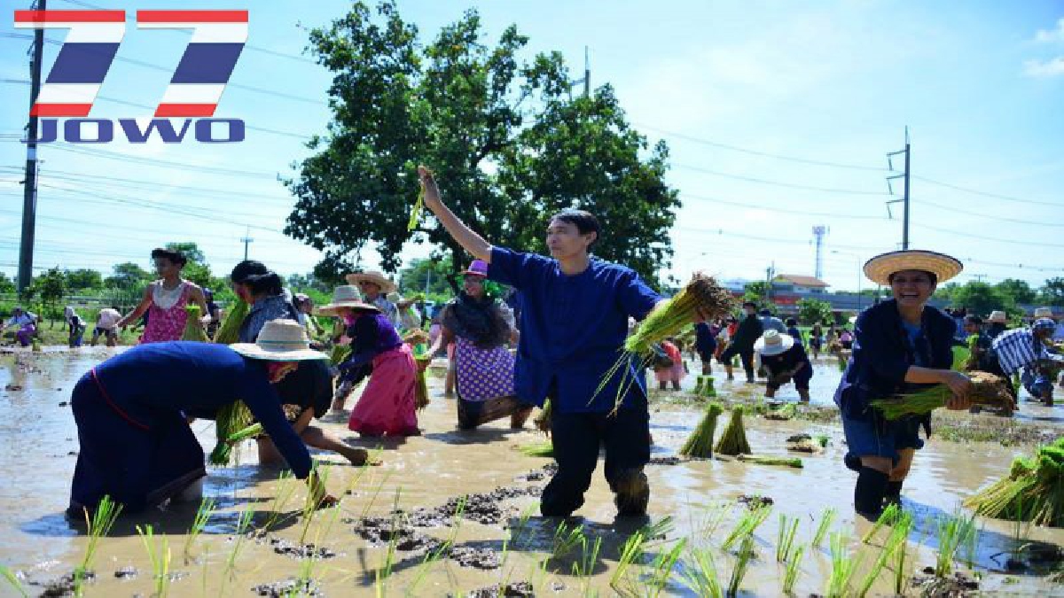 อธิการ ม.มหาสารคาม จัดเต็ม!!!!&nbsp;ลงแขกปักดำนาเฉลิมพระเกียรติฯ &ldquo;ปลูกวันแม่ เกี่ยววันพ่อ&rdquo; พร้อมสีสันจากนิสิตชุดแฟนซีดำนา (มีคลิป)