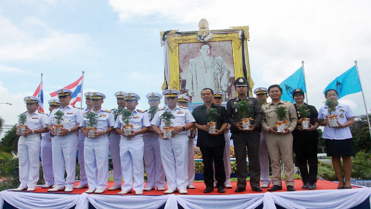 ชลบุรี!! กองเรือยุทธการ ร่วมทุกภาคส่วน ปลูกต้นดาวเรือง ให้บานสะพรั่งทั่วแผ่นดิน (มีคลิป)