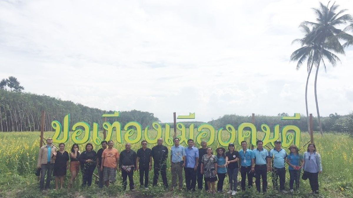 ชวนแม่ถ่ายภาพที่ทุ่งปอเทือง!! กิจกรรมดีๆพัฒนาที่ดินสุราษฎร์ เปิดทุ่งปอเทืองของเกษตรกร ปลูกบำรุงดินตามแนวพระราชดิริฯ ชวนแม่เที่ยว (มีคลิป)