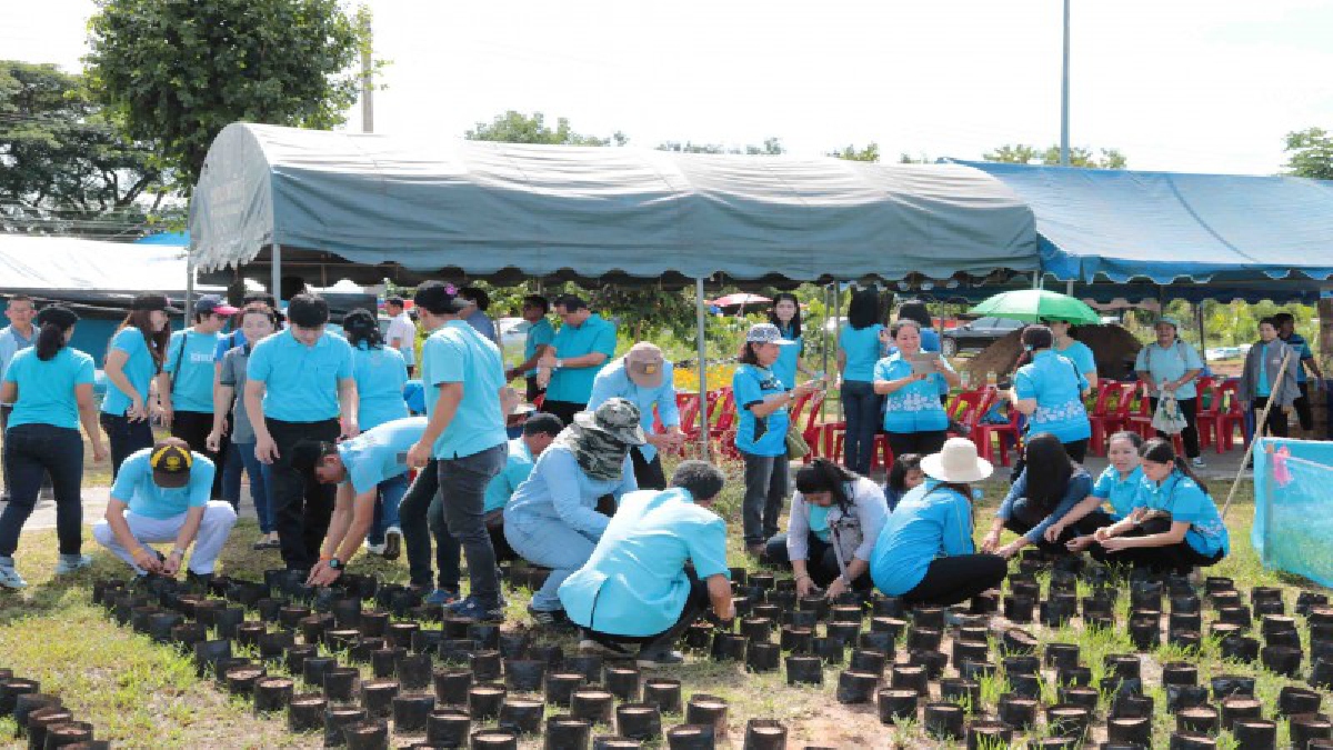 ผู้ว่าฯกาฬสินธุ์ นำข้าราชการ ผู้นำท้องถิ่น ประชาชน เยาวชน ปลูกดอกดาวเรือง ทั้งเมืองกาฬสินธุ์ เพื่อถวายเป็นพระราชกุศลในหลวงรัชกาลที่ 9 (คลิป)