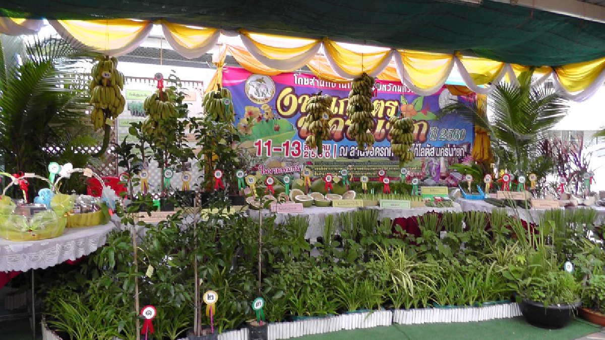 นครนายก!! เกษตรจังหวัดนครนายก จัดพิธีเปิดงานเกษตรนครนายกประจำปี 2560 เพื่อส่งเสริมการตลาดเกษตรปลอดสารพิษ (ชมคลิป)