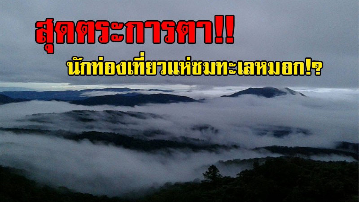 ความสวยงามที่ธรรมชาติมอบให้!! นทท.หลบร้อน แห่ชมแสงแรกของทะเลหมอก ที่ปรากฎให้เห็น ท่ามกลางบรรยากาศที่หนาวยะเยือก ทำเอาฟินสุดๆ!? (ชมคลิป)