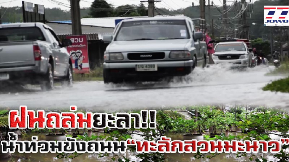ฝนถล่มยะลา!! น้ำท่วมขังถนน ทะลักเข้าสวนมะนาว เสียหายหนัก