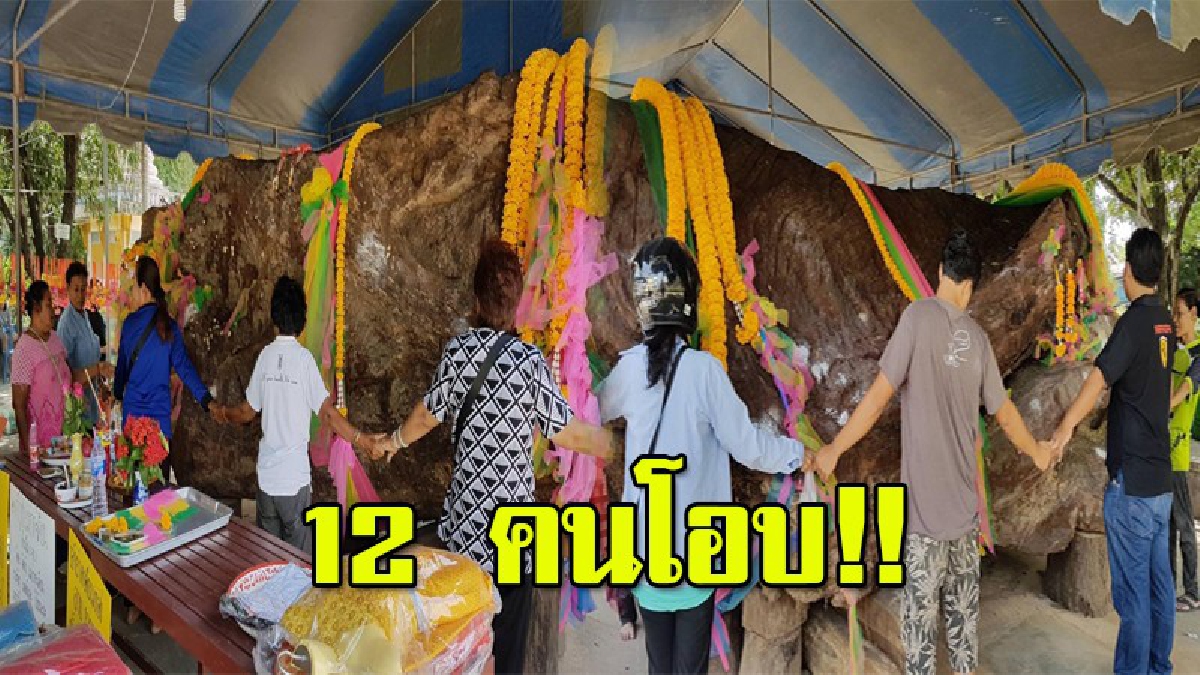 วัดแทบแตก!! นักเสี่ยงโชคแห่ขอพร เจ้าย่าตะเคียนทองยักษ์ใหญ่อายุกว่าพันปี น้ำหนักเกิน 7 ตัน เผยที่มาสุดตะลึง ทำเอาขนลุกซู่ (มีคลิป)