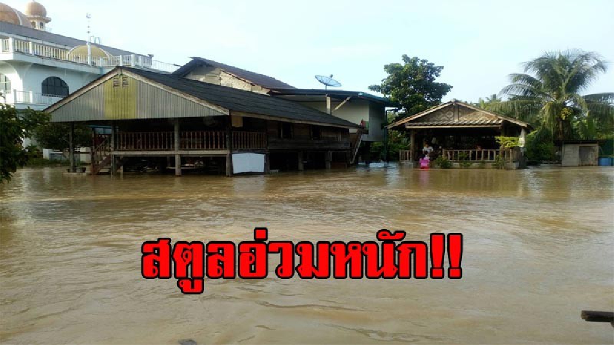 สตูลจมบาดาล!! ฝนตกหนัก น้ำไหลทะลักเข้าท่วมแล้ว 3 อำเภอ สั่งชาวบ้านเร่งขนย้ายสิ่งของขึ้นที่สูงแล้ว (มีคลิป)