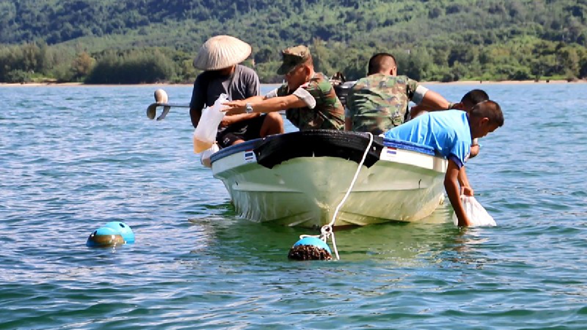 ตราด!! อบต.แหลมกลัด ทำโครงการร่วมอนุรักษ์ และฟื้นฟูระบบนิเวศชายฝั่งทะเล ปล่อยกุ้งกุลาดำ 3 แสนตัวลงทะเล