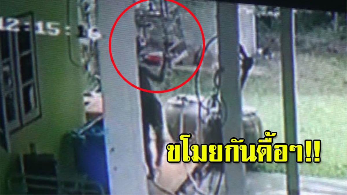 ชักได้ใจ!! วงจรปิดจับภาพ ตีนแมวสุดชิลล์ เดินถอดเสื้อย่องขโมยนกกรงในบ้านผอ.เขตการศึกษา เผยโดนมา รอบที่ 2 แล้ว (มีคลิป)