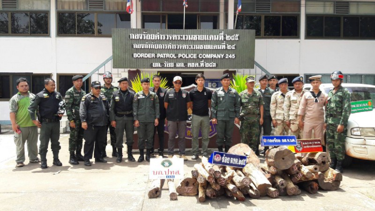 จับไม่หมดเสียที!! ตชด.สนธิกำลัง ตรวจยึดไม้พะยูง 38 ท่อน มูลค่ากว่า 1.5 แสนบาท ขณะที่คนร้ายเตรียมส่งประเทศเพื่อนบ้าน แต่กลับหนีรอดไปได้