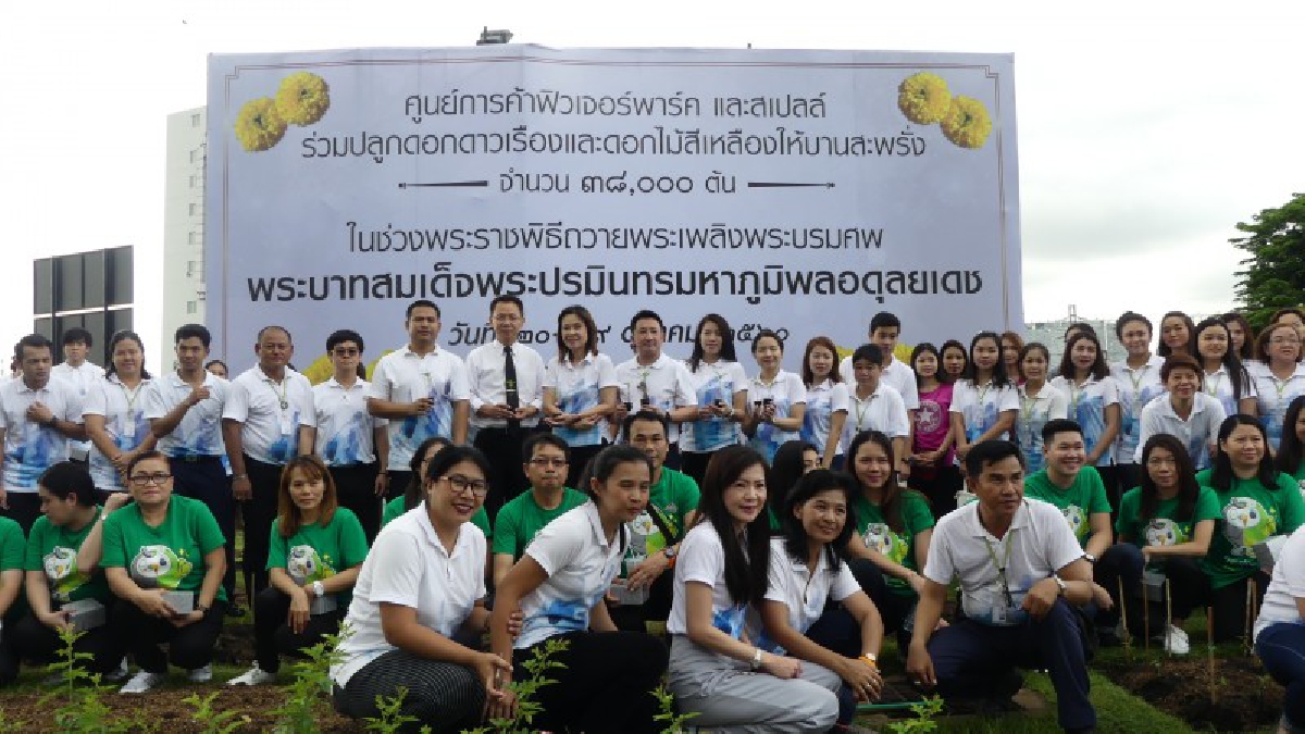 ปทุมธานี!! ศูนย์การค้าฟิวเจอร์พาร์คและสเปลล์ ร่วมปลูกดอกดาวเรือง เพื่อรำลึกถึงพระมหากรุณาธิคุณ ในหลวง ร.9 (ชมคลิป)
