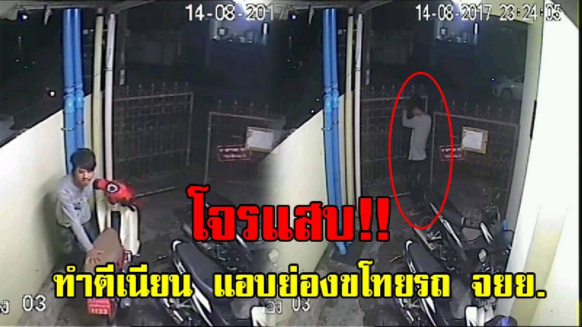 โจรเมืองคอนสุดโต่ง!! แอบเข้ามาขโมย จยย.ต่อหน้า รปภ.แมนชั่นดัง เผยกลางวันยังไม่เว้น เอ่ยปากขอแม่บ้านแมนชั่น ขอขโมยรถไปใช้สักคัน!? (คลิป)