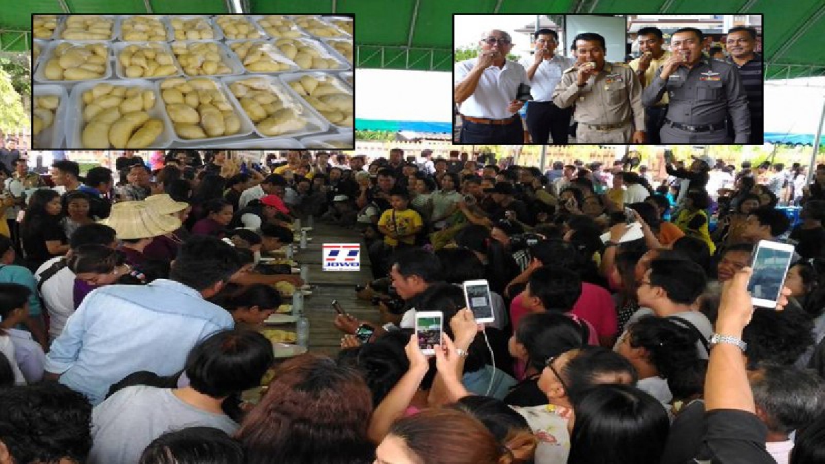 บุฟเฟต์ทุเรียนฟรี-ชาวชุมพรนักท่องเที่ยวนับหมื่นร่วมงาน“บุฟเฟต์ทุเรียน อร่อยไม่อั้น”ทุเรียนหมอนทองกว่า 20 ตัน“กินฟรี”แข่งกินทุเรียน(มีคลิป)