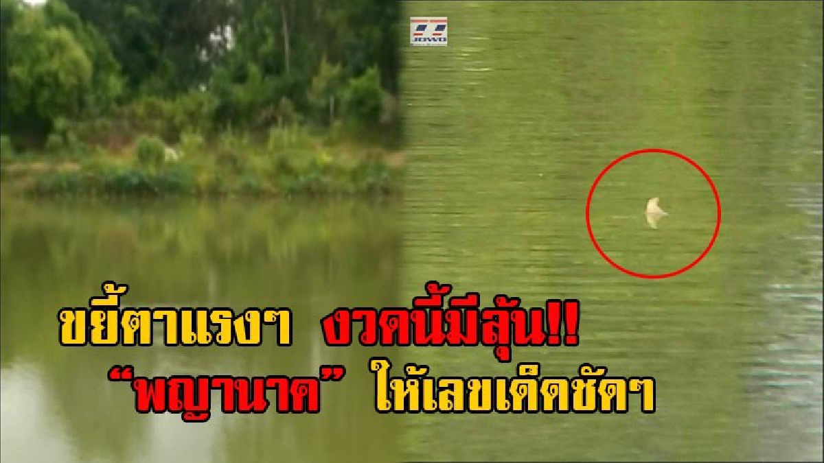 ฮือฮาทั้งหมู่บ้าน!! ชาวบ้านทั่วสารทิศกว่า 1,000 คน แห่มาเฝ้ารอชม "พญานาค" ตัวเป็นๆในวันหวยออก เผยไม่ทำให้ผิดหวัง เห็นเป็นเลขเด็ดชัดๆ (คลิป)