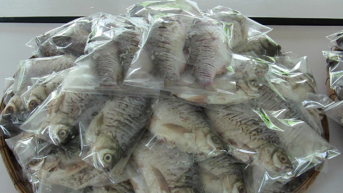 อร่อยสุดยอด!! ปลาส้มอ่างทอง ทำขายวันละ 50 กิโลกรัม สร้างรายได้วันละเกือบ 4,000 บาท (มีคลิป)