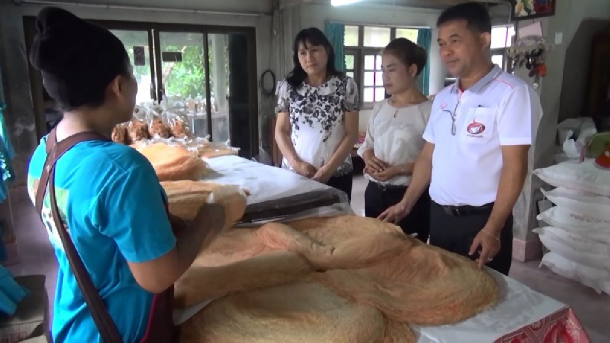 บ้านคลองโหน!! เร่งทำขนมลาเดือนสิบ หลังใกล้เทศกาลเดือนสิบ มีออร์เดอร์สั่งเข้ามาจำนวนมาก สร้างรายได้อย่างงาม (มีคลิป)