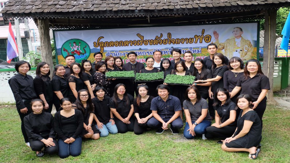 ถวายความอาลัย!! รวมพลคนสหกรณ์ฯ รวมใจ &ldquo;ปลูกดอกดาวเรืองด้วยใจถวายพ่อ" เพื่อแสดงออกถึงความจงรักภักดี และน้อมรำลึกในพระมหากรุณาธิคุณ (มีคลิป)