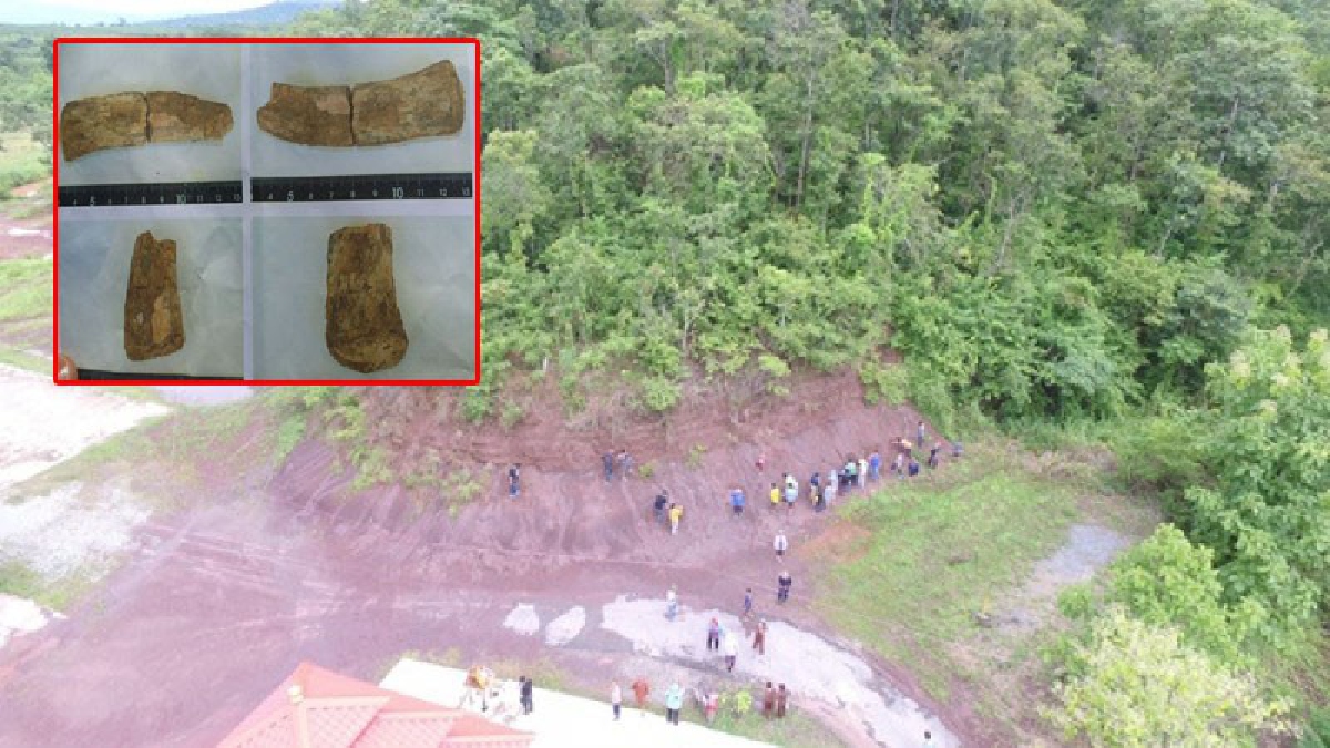 สุดฮือฮา!! ชาวบ้านตื่น..พบซากฟอสซิลและฟันไดโนเสาร์เชิงเขาชีพิษณุโลก (มีคลิป)