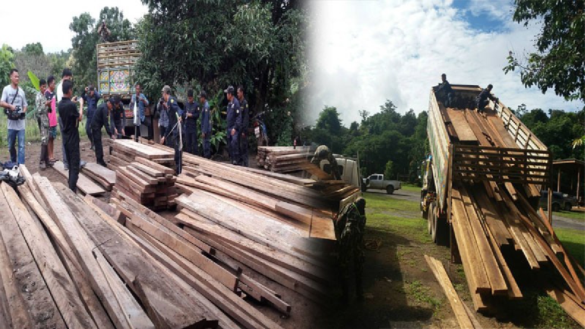 เร่งปราบให้หมด!! พญาเสือลุยตรวจสอบเมืองกาญจน์ 2 วัน ทวงคืนผืนป่า ยึดของกลางเพียบ ทั้งไม้ท่อน ไม้แปรรูปและซากสัตว์ (ชมคลิป)