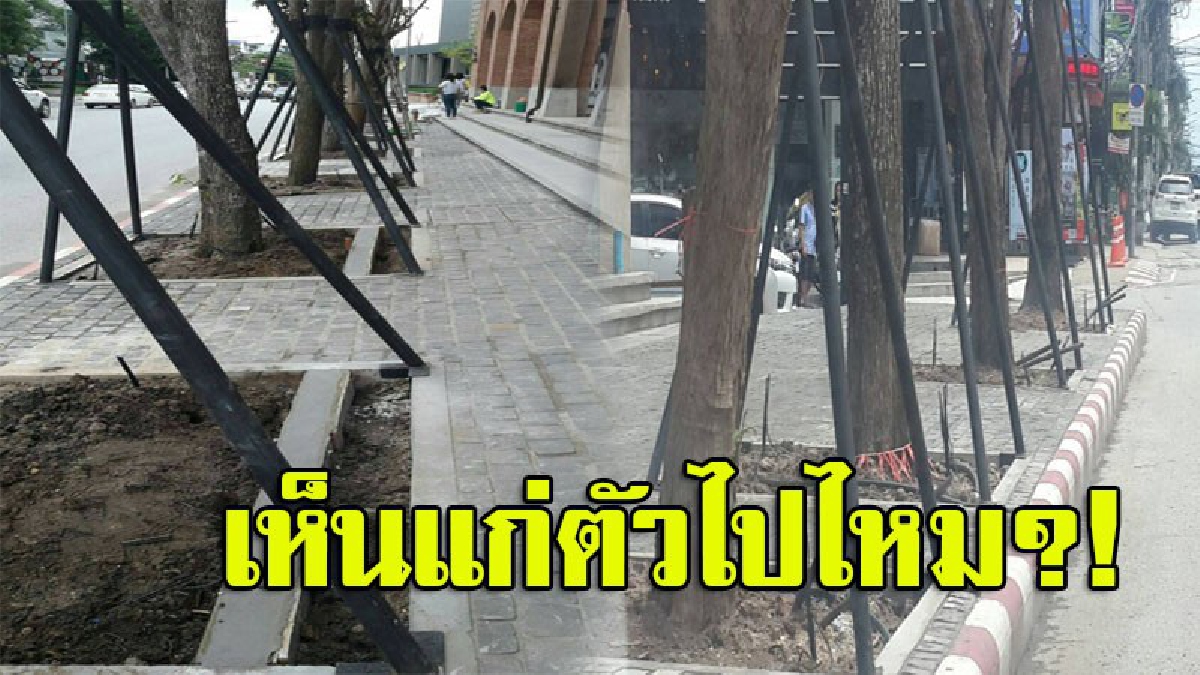 โซเชียลวิจารณ์ยับ!! โรงแรม 5 ดาวสุดมักง่าย รุกพื้นที่ทางเท้าปลูกต้นไม้ เอาเหล็กค้ำทำเกะกะ กั้นคนเดินผ่าน (มีคลิป)