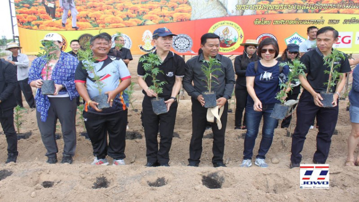 พ่อเมืองระยองเป็นประธานกิจกรรมปลูกทานตะวันและดาวเรืองมากกว่า 1แสนต้น ตามโครงการ 9101 ตามรอยเท้าพ่อ ภายใต้ร่มพระบารมี เพื่อพัฒนาการเกษตรอย่าง
