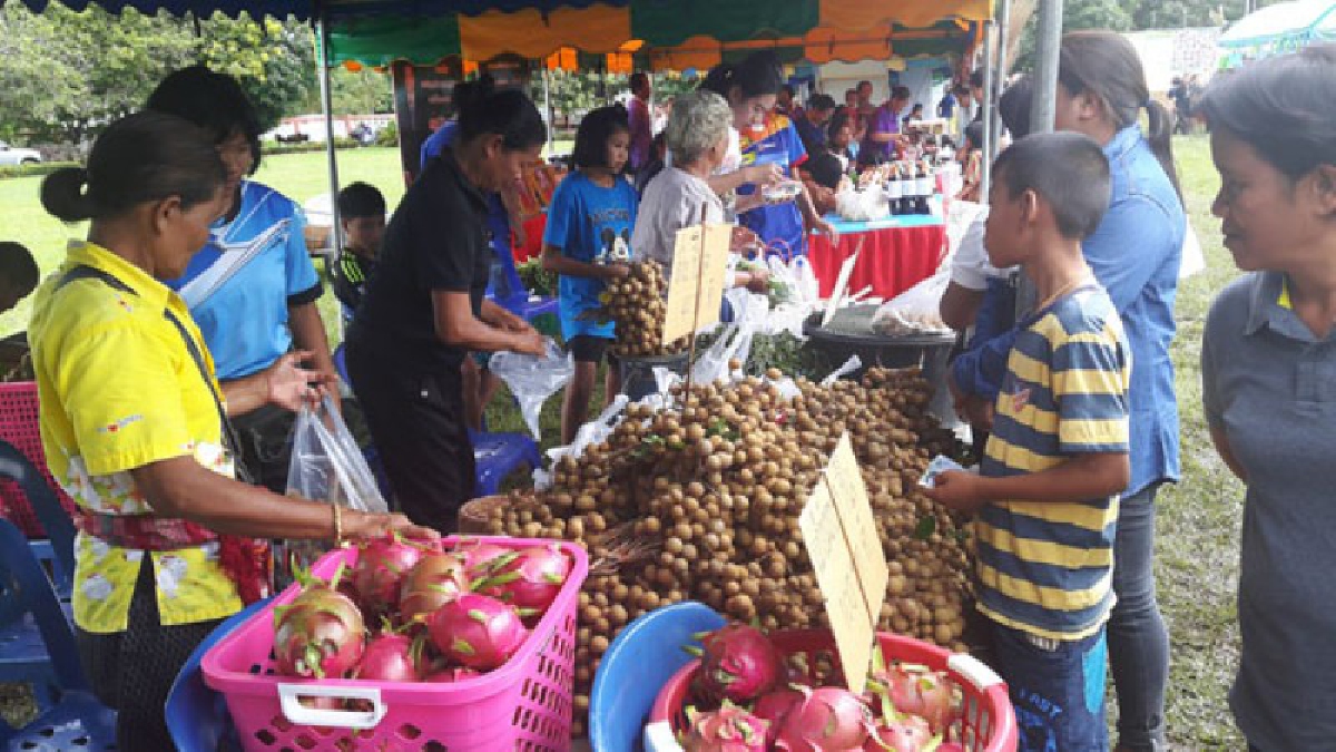 เดินหน้าพัฒนา!! ผู้ว่าราชการจังหวัดยโสธร นำหัวหน้าส่วนราชการ เปิดหมู่บ้านเกษตรอินทรีย์ 100 เปอร์เซ็นต์ อย่างเป็นทางการ (ชมคลิป)