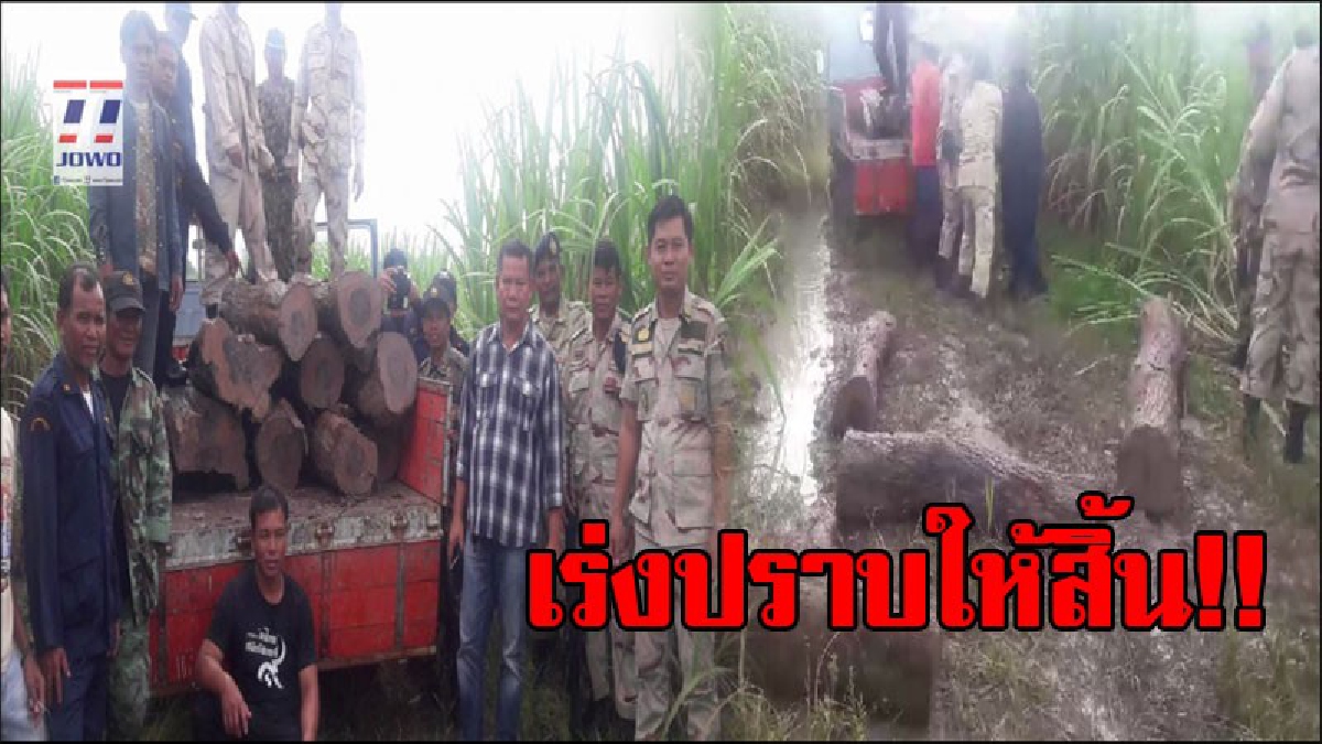 เยอะเหลือเกิน!! ไม้พะยูงที่ถูกแอบขโมยตัดไปหลายครั้งในพื้นที่อำเภอละหานทราย ชาวบ้านแห่แจ้งความไว้แล้วกว่า 10 คน  จนท.เร่งจับกุมคนร้าย!?(คลิป)