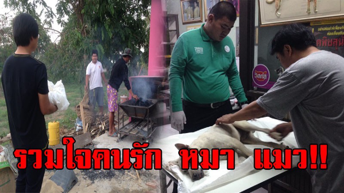 ร่วมสร้างบุญเพื่อน้องหมา แมว!! สำนักสงฆ์และอาสาร่วมกตัญญูหล่มสัก ขอชวนผู้ใจบุญบริจาคสร้างเตาเผาศพหมา-แมว จากถูกชนตายอนาถบนถนน!? (ชมคลิป)