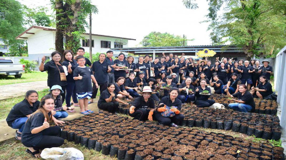 คนละไม้ คนละมือ!!ชมรมคนรักในหลวง ระนองร่วมกันปลูกดอกดาวเรืองถวายพ่อ เพื่อแจกสมาชิกประดับบ้านเรือนห้วงวันสำคัญ