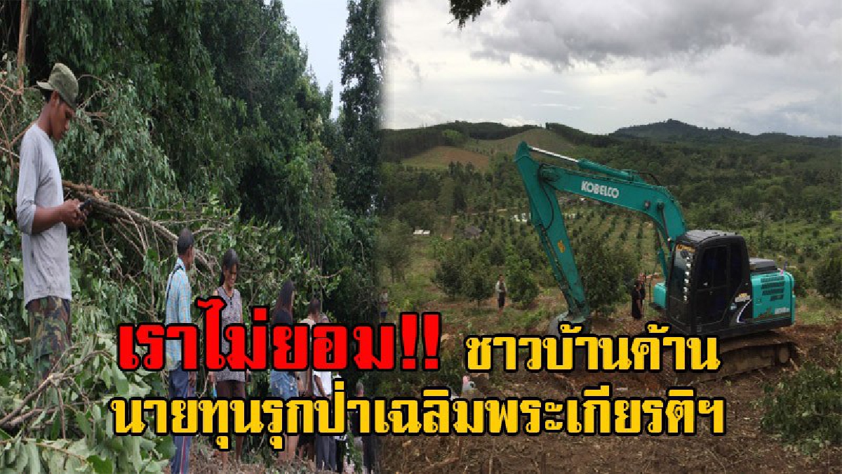 ทำแบบนี้ได้ไง!? ชาวบ้านลุกฮือ รวมตัวคัดค้าน หลังมีนายทุนรุกป่าเฉลิมพระเกียรติฯ เข้ามาไถตัดโค่นต้นไม้ จนท.เผยไม่สามารถสั่งห้ามได้ (มีคลิป)