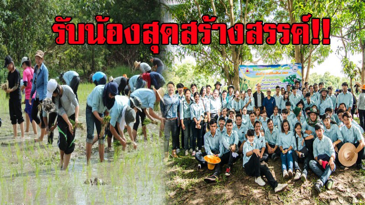 สีสันต้อนรับเฟรชชี่!! ม.อุบลฯ รับน้องสร้างสรรค์เชิงเกษตร รุ่นพี่พาน้องดำนาเรียนรู้วิถีชีวิตเกษตรกร เพื่อเชิดชูอาชีพเกษตรกร!? (ชมคลิป)