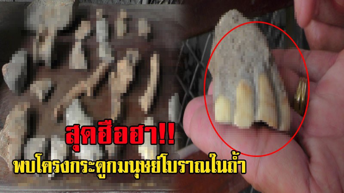 สมบัติล้ำค่า!! สุดตะลึง พบกระดูกมนุษย์โบราณ ฟอสซิลสัตว์ยุคหินนับร้อยอายุนับพันปี แอบซ่อนอยู่ในถ้ำ ไม่มีคนรู้ เพราะชาวบ้านเชื่อในถ้ำมีถรรพ์!?