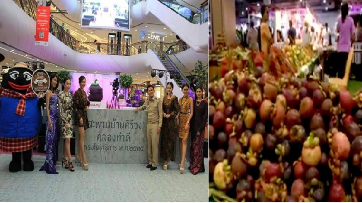 มังคุด 100 ปี!! เมืองคอนบูรณาการร่วมจัดงานมังคุด ฟรุ้ตติวัล 2017 ท้า ชม ชิม ช้อป มังคุด 100ปี ราชินีผลไม้จากดินแดนอากาศดีที่สุดในประเทศไทย