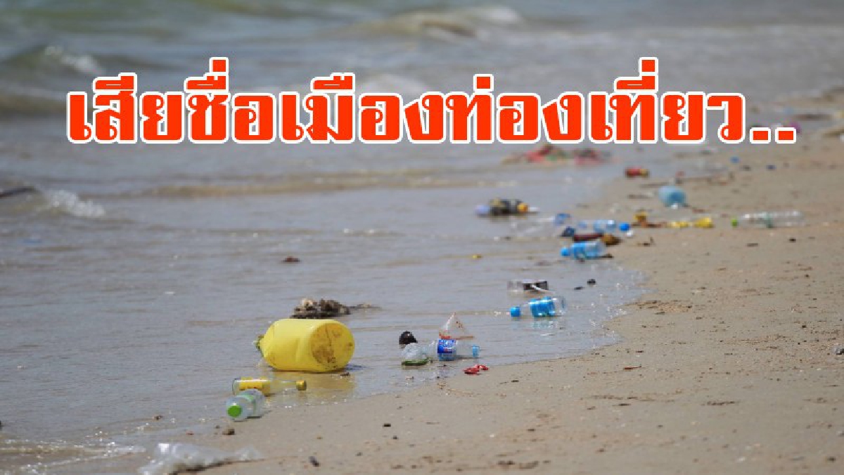 สุดชุ่ยเสียชื่อเมืองท่องเที่ยว!!! นักท่องเที่ยวสุดเซ็งขยะเกลื่อนหาดพัทยา ไร้หน่วยงานหรือเจ้าหน้าที่เข้าดูแลเก็บกวาด (มีคลิป)