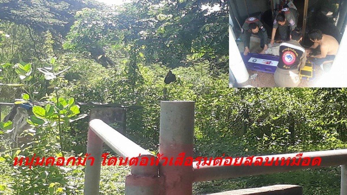 หนุ่มเฝ้าคอกม้า วิ่งหน้าตั้งเกือบเอาชีวิตไม่รอด โชคดีเจ้านายมาพบ นำส่งโรงพยาบาล รอดตายหวุดหวิด สาเหตุเกิดจากสิ่งมีพิษ ต้องรีบกำจัดโดยด่วน