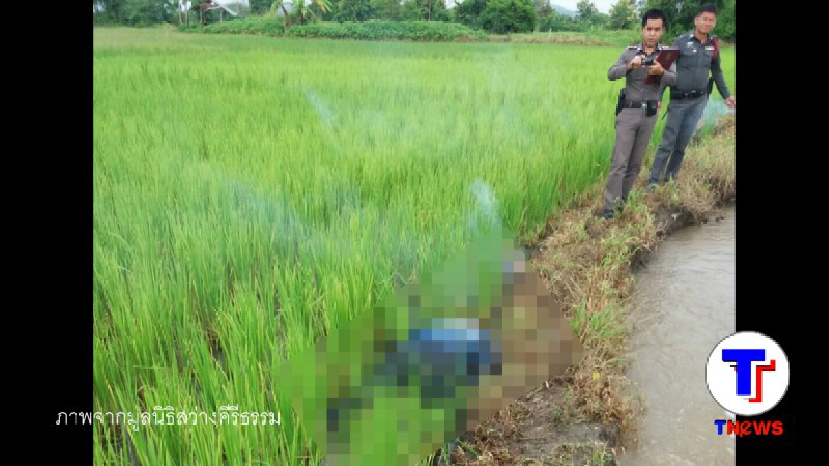 มีเงื่อนงำ!! พบศพ พ่อใหญ่วัย65 ขึ้นอืดกลางทุ่งนา บ้านผาพอด อ.เชียงคาน คาดถูกปืนยิงเป็นเหตุให้เสียชีวิต (มีคลิป)