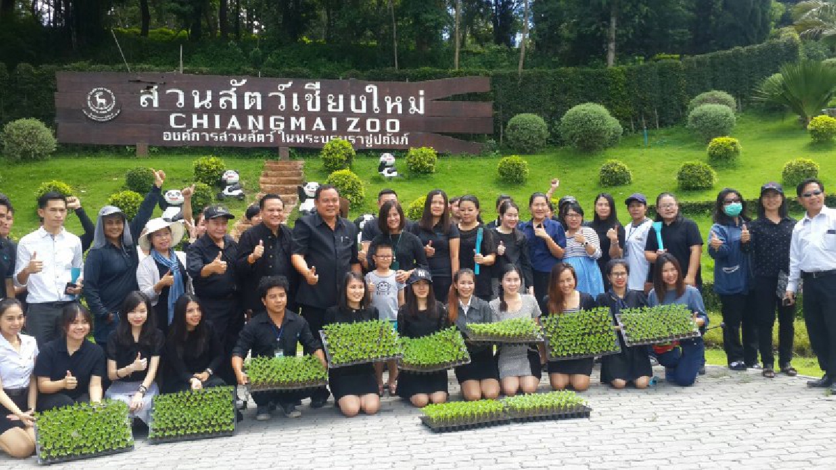 ทำด้วยใจ!! สวนสัตว์เชียงใหม่น้อมสำนึกในพระมหากรุณาธิคุณ ร่วมใจปลูกดาวเรืองด้วยใจถวายพ่อ ให้บานสะพรั่งในช่วงงานพระราชพิธีถวายพระเพลิงพระบรมศพ