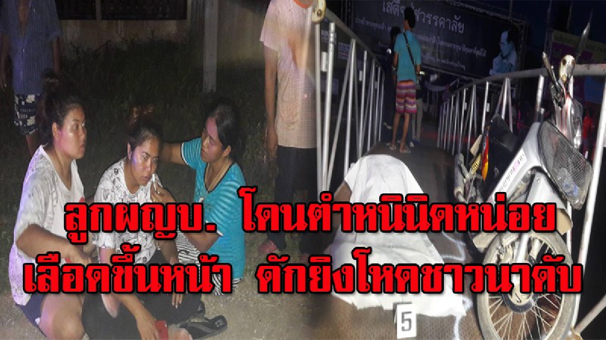 ลูกผู้ใหญ่บ้านคนดัง ปืนโหด..คว้า 11 มม.กระหน่ำยิงชาวนา ดับคาสะพาน เผยเก็บความแค้นตั้งแต่เช้า รอดักสังหารตอนเย็น (มีคลิป)
