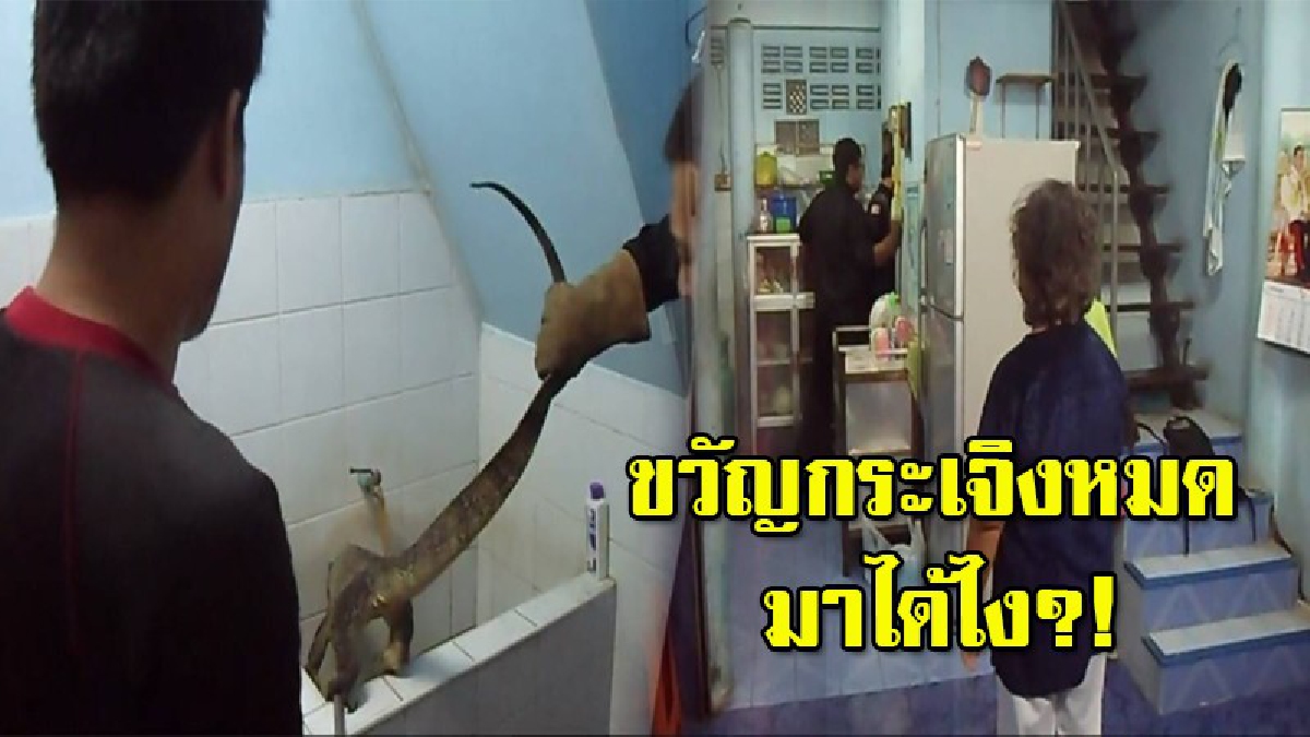 แทบช็อกหงายท้อง!! ป้าวัย 61 เข้าห้องน้ำทำธุระส่วนตัว สติแทบหลุด..พบตัวเงินตัวทองตัวเบ้อเร่อ นอนแช่ในอ่างอาบน้ำ