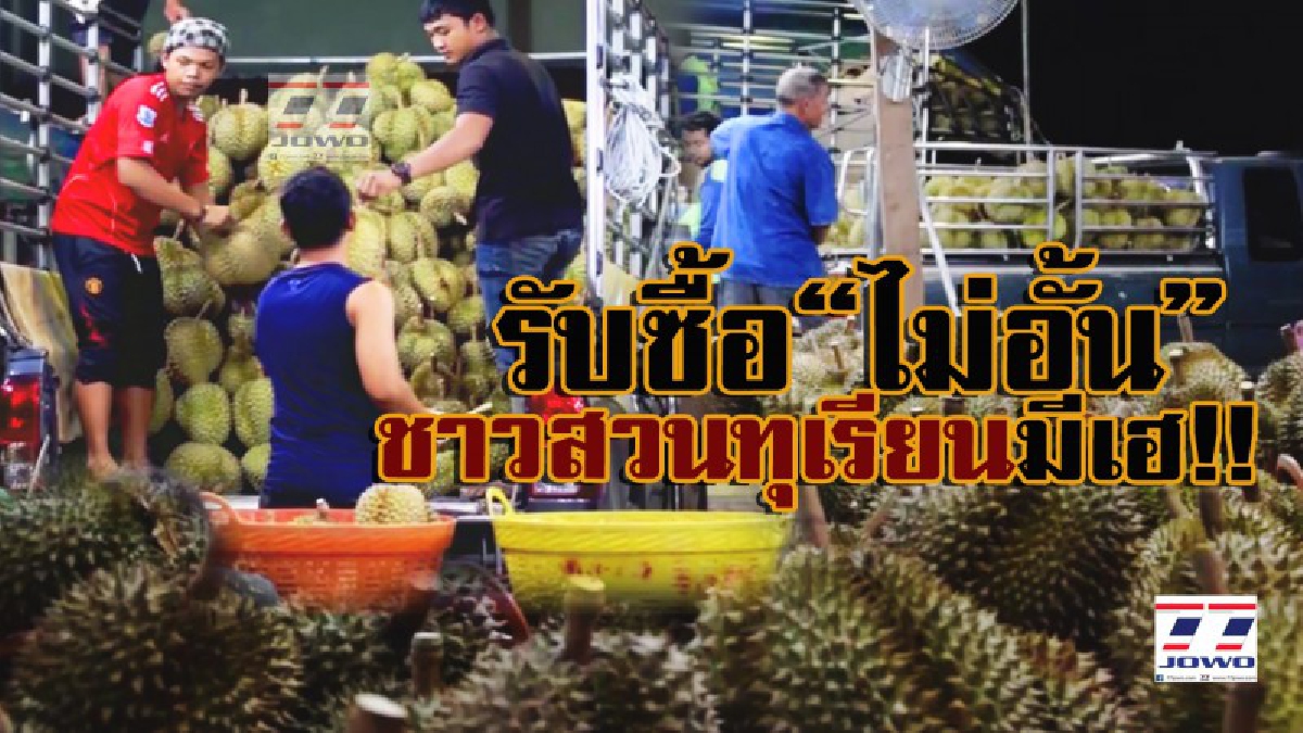 มีเท่าไหร่ เอาหมด!!ชาวสวนทุเรียน ยะลา ได้เฮ ทุเรียนขาดตลาด โอกาสทองเกษตร พ่อค้าตลาดผลไม้รับซื้อไม่อั้น