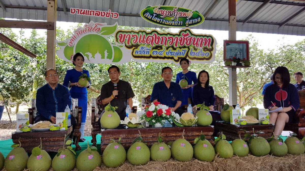 ปักหมุดรอได้เลย!! ชัยนาทเตรียมจัดงานวันส้มโอขาวแตงกวา เตรียมส้มโอกว่า 6 หมื่นตัน ขายถูกกว่าเดิม เอาใจผู้บริโภค