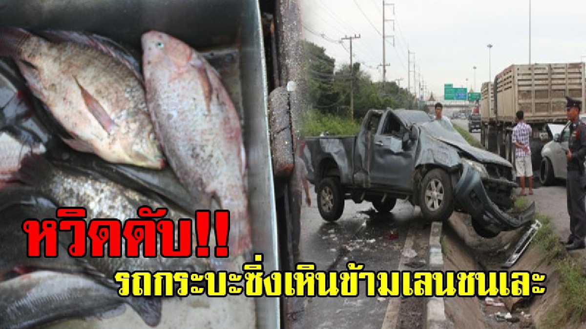 ชนเละข้ามเลน!! หนุ่มซิ่งกระบะ เหินลอยข้ามเลนชนกระบะบรรทุกปลา แล้วพลิกหลายตลบไปชนท้ายรถบรรทุก10ล้อ สภาพรถพังยับ บาดเจ็บสาหัส!? (คลิป)