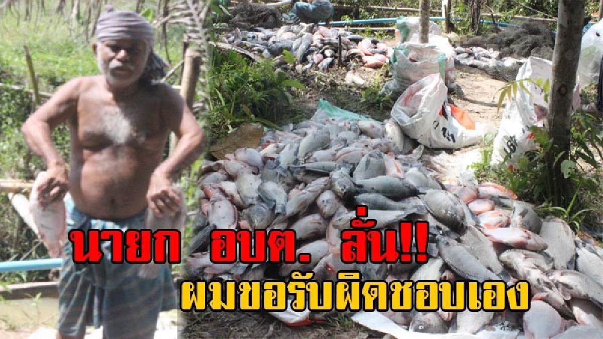 หมดกันงานนี้!! นายก อบต.สั่งปิดท่อส่งน้ำ ปลาในกระชังชาวบ้านกว่า 10,000 ตัวตายหมดเกลี้ยง นายกกลับช่วยทำสิ่งนี้ ได้ใจชาวบ้านไปเต็มๆ!? (คลิป)