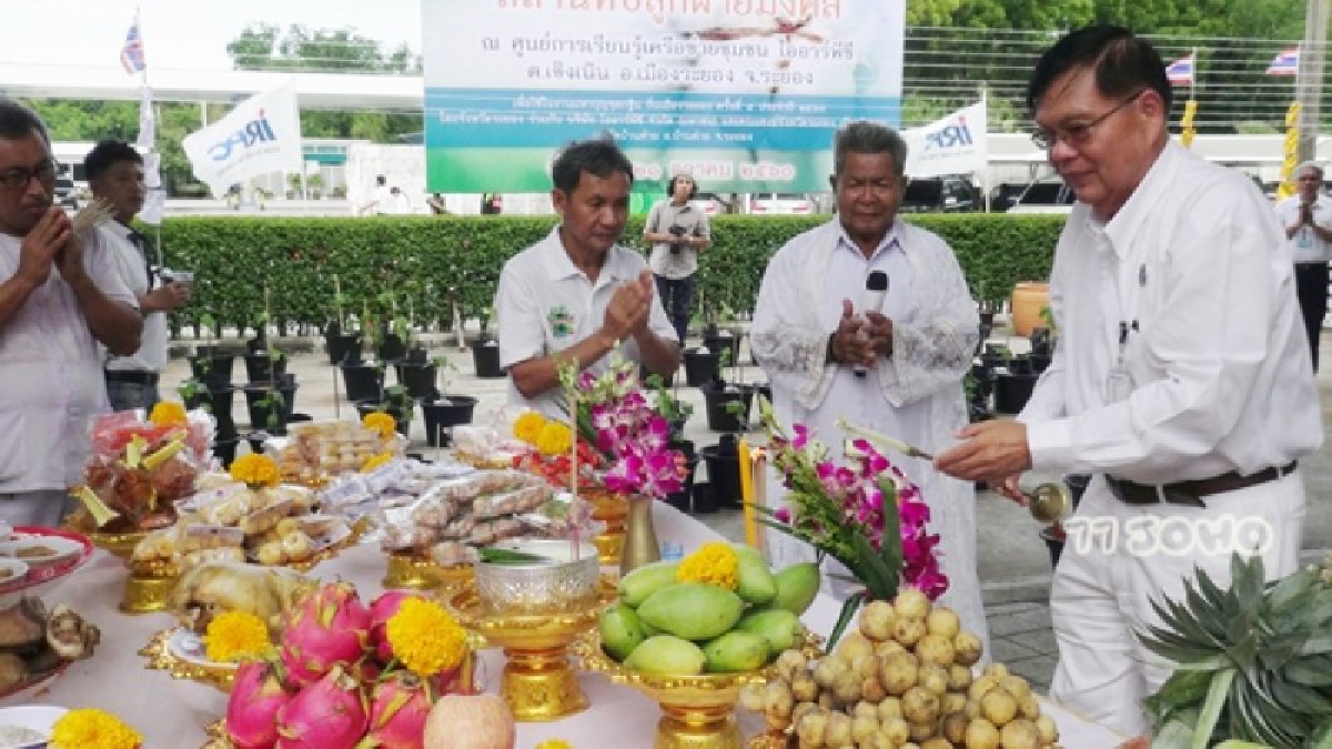 จังหวัดระยอง จัดพิธีปลูกฝ้ายมงคล งานมหาบุญจุลกฐิน ถิ่นเมืองระยอง ครั้งที่ 5 เพื่อสืบสานวัฒนธรรมประเพณี ประจำปี 2560 (มีคลิป)