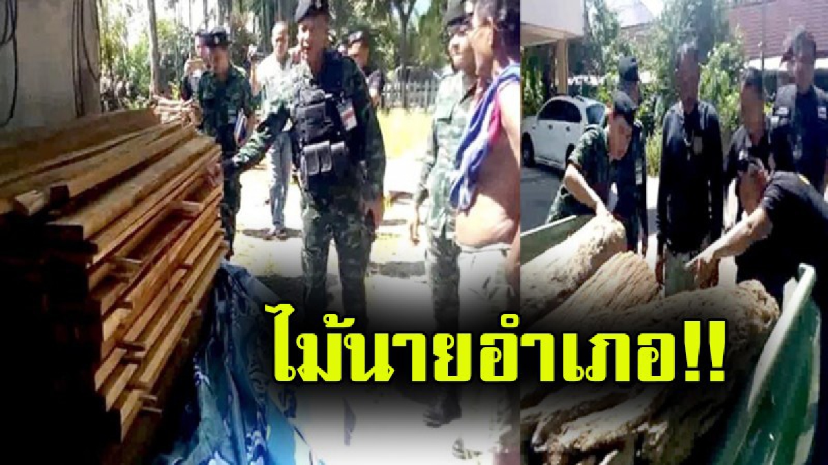 นายอำเภอตัวดี!! ผบ.มทบ. 41 สั่งกำลังทหาร-ป่าไม้ ลุยตรวจยึดไม้บริเวณบ้านพักนายอำเภอคนดัง พบลักลอบแปรรูปทำเฟอร์นิเจอร์เพียบ (มีคลิป)